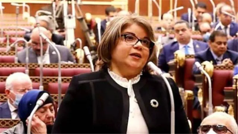 فيبي: مشروع التأمين الصحي الشامل أحد أهم استراتيجيات الجمهورية الجديدة