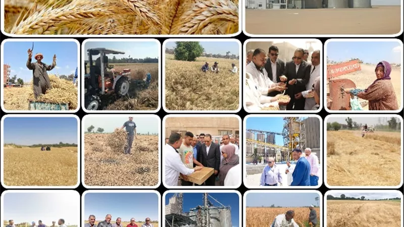 الجمهورية الجديدة.. كلها خير