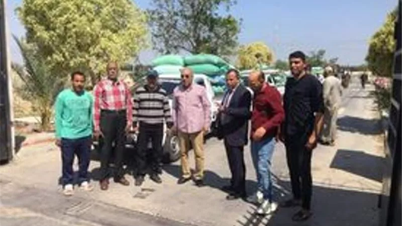 صوامع القنطره شرق تتسلم أولى دفعات القمح بالإسماعيلية..صور