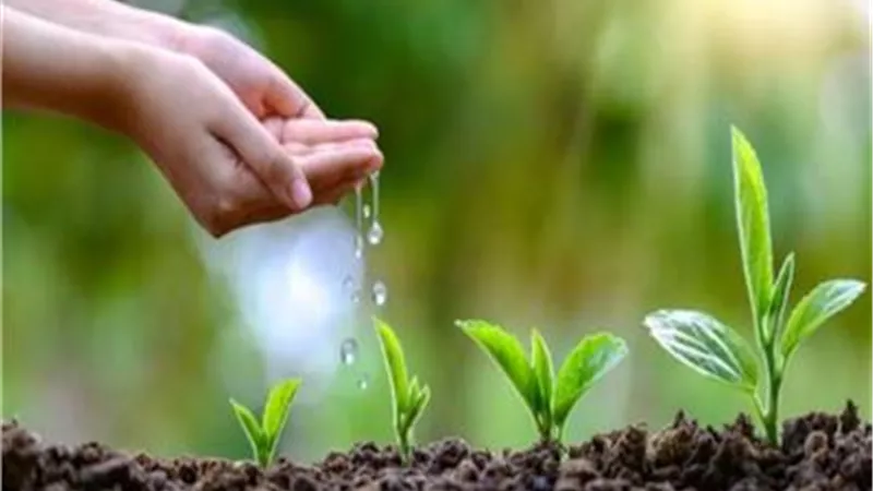 النظافةوحمايةالبيئة وأثرهما على صحة الانسان