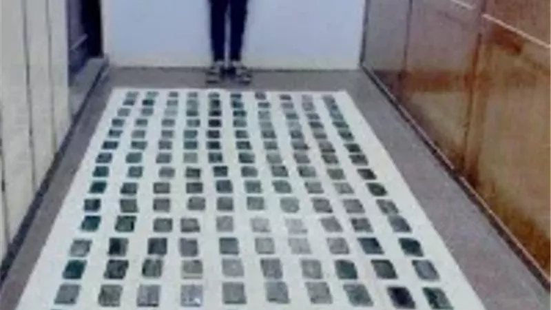 ضبط 4 عناصر إجرامية بحوزتهم حشيش بـ3 ملايين بالأسكندرية والشرقية