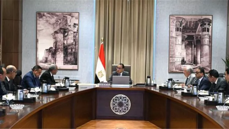 مدبولي يوجه بإعداد خطة لاستنباط أصناف من تقاوي الأرز الموفرة للمياه