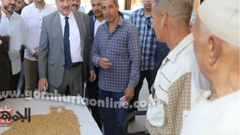محافظ المنوفية: توريد 680 طن قمح خلال 48 ساعة