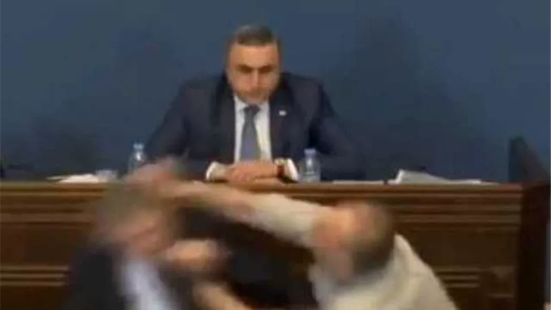لكمات وشجار جماعي في برلمان جورجيا