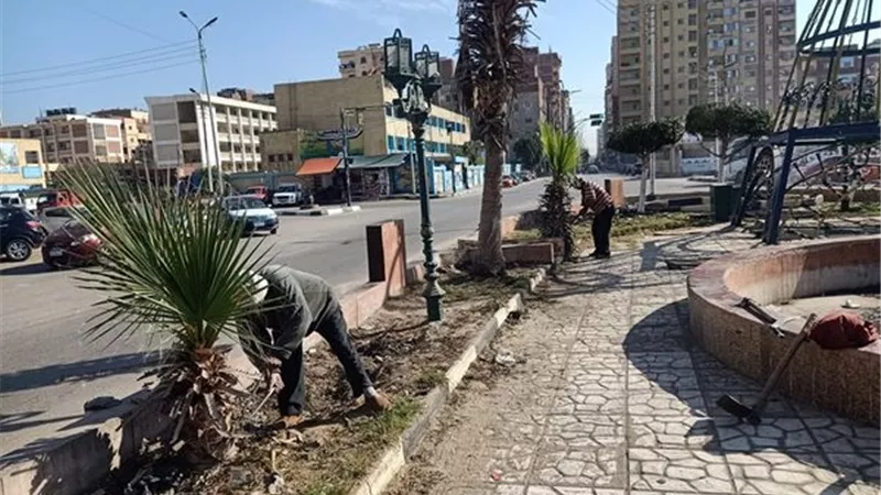 رفع كفاءة وتجميل ميادين حي ثان الإسماعيلية..صور