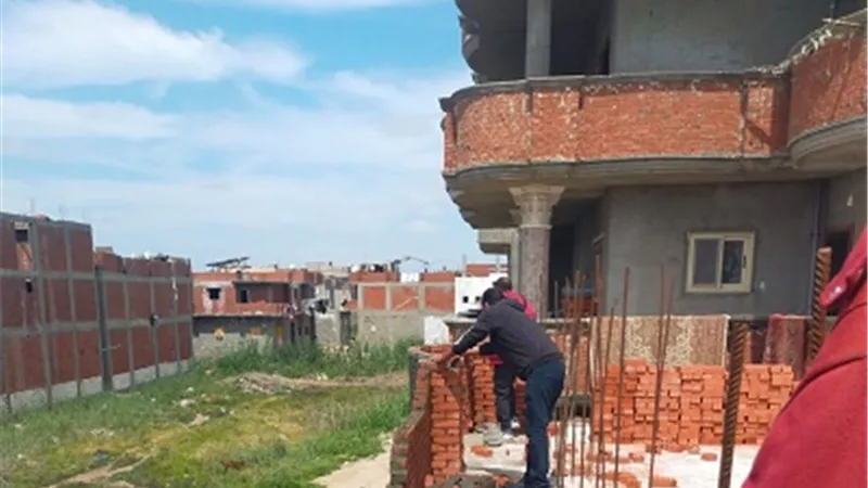 حملات لإزالة التعديات على الأراضي الزراعية بالإسكندرية