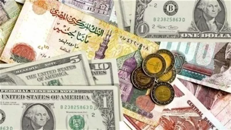 العملات الأجنبية والعربية تواصل تراجعها أمام الجنيه المصري