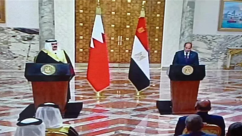 الرئيس السيسي: أرفض محاولات التهجير القسري للفلسطينيين من أراضيهم