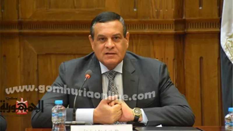 التنمية المحلية :بدء المرحلة الأخيرة من الموجة 22 لإزالة التعديات