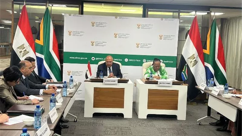 وزير الخارجية يجري مشاورات سياسية مع نظيرته الجنوب إفريقية