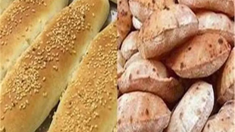 تعرف على أسعار الخبز السياحي بعد تراجعه بنسبة 45% وسعر الفينو