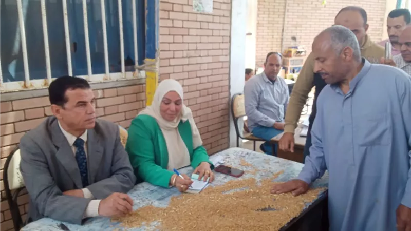 التموين تستهدف توريد 400 ألف طن قمح بالدقهلية خلال الموسم الحالي