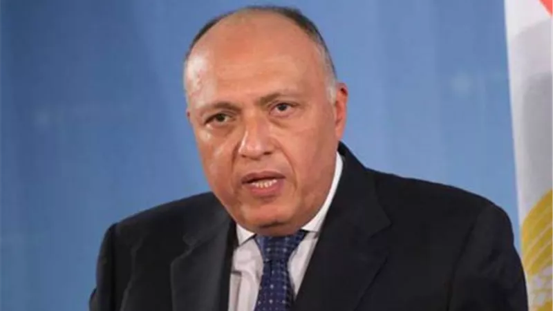 شكرى: مصر ستواصل جهودها للتوصل إلى وقف فوري لإطلاق النار في غزة