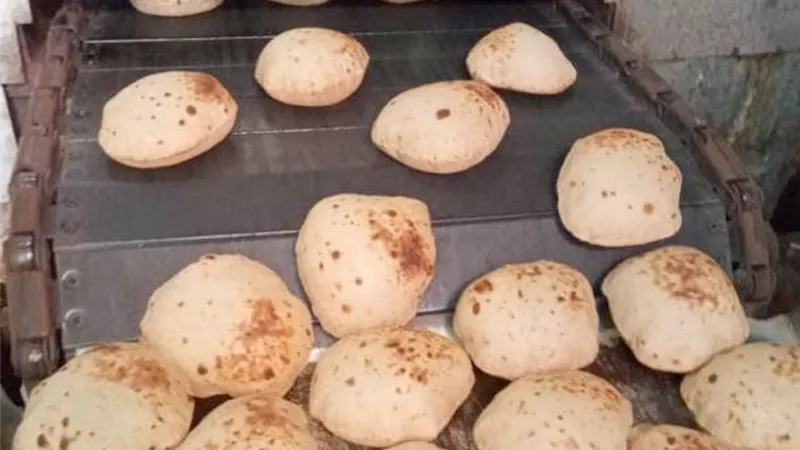 بعد انخفاض أسعار الدقيق.. موعد تطبيق السعر الجديد لرغيف الخبز السياحي