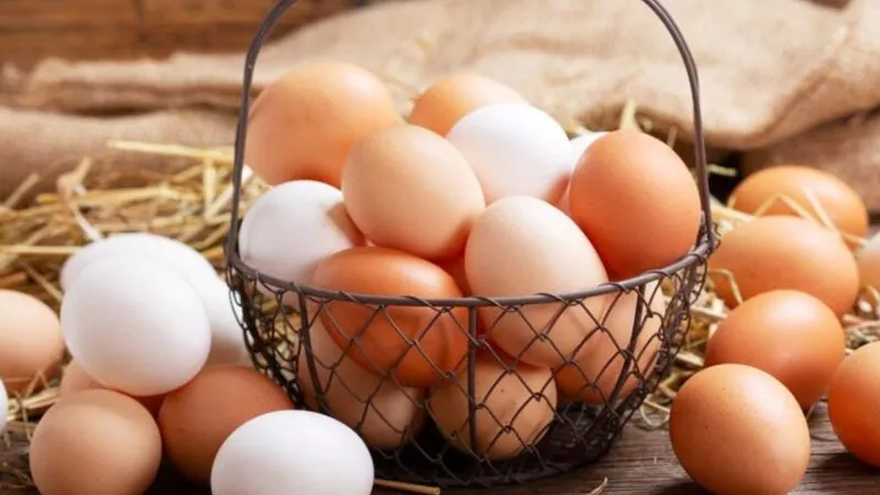 اخطاء عند طهى البيض ..تجنبها
