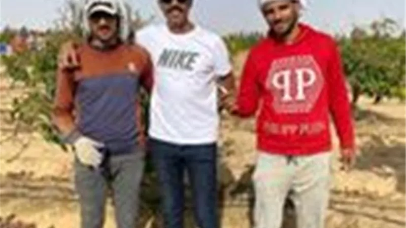 توصيات هامة لمزارعي المانجو بالإسماعيلية خلال الفترة الحالية