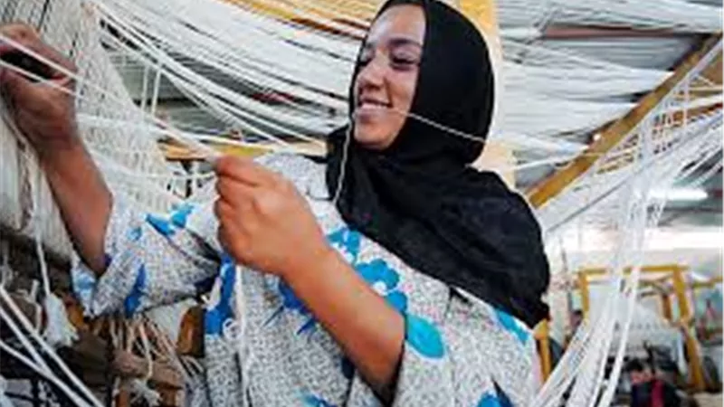 خدمات على المنصة الإلكترونية لتنمية المشروعات الصغيرة ومتناهية الصغر للنساء