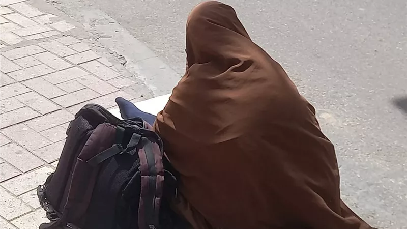 القطة والسيده العجوز قصة انسانية احتفت بها صفحات التواصل الاجتماعي