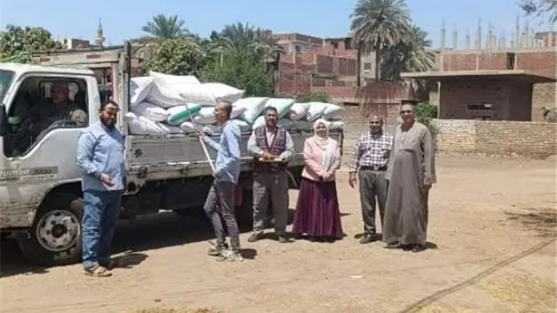 صوامع وشون الشرقيةتستقبل ٥٠٢٦٢ طنا الذهب الأصفر
