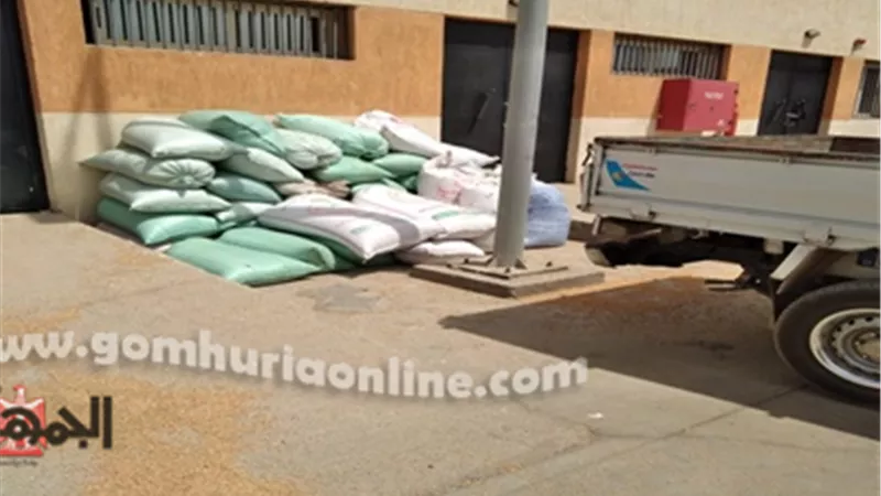 محافظ المنوفية:ضبط 103 طن سكر ودقيق مدعم قبل بيعها بالسوق السوداء