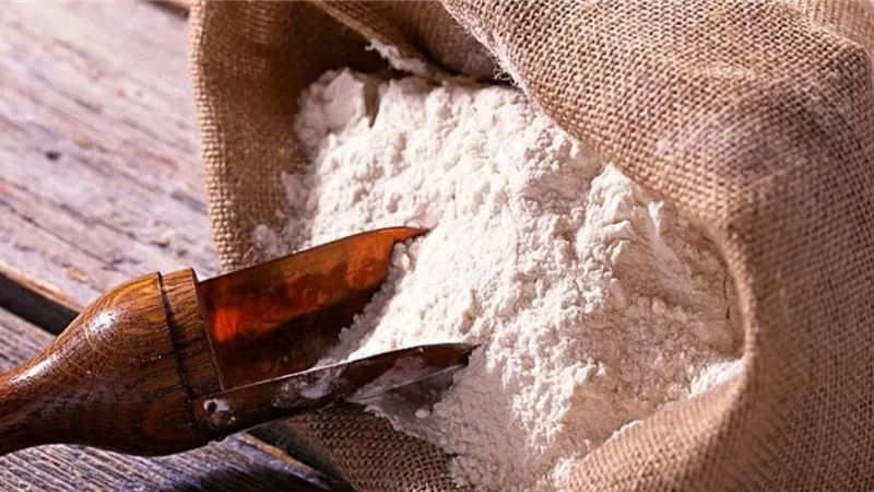 شعبة الخبز: 6 آلاف جنيه حجم نزول الأسعار في الدقيق
