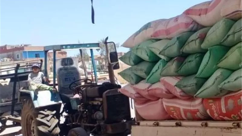 محافظ كفرالشيخ: توريد 385 طن قمح بصوامع دسوق