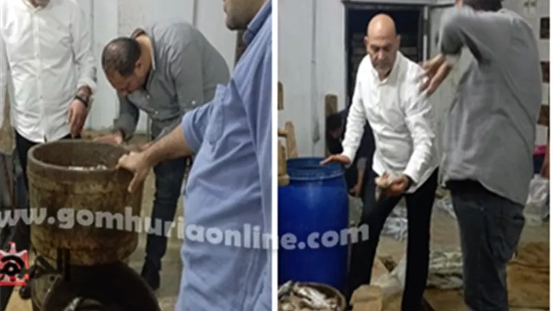 ضبط 6 ألاف و600 كيلو أسماك سردين فاسدة قبل أعياد شم النسيم