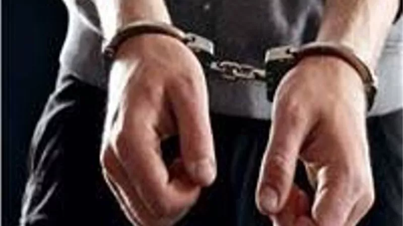 القبض على لص سرق حقيبة أموال من داخل سيارة في الإسكندرية