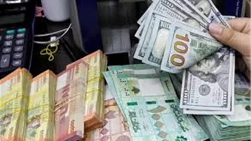 السجيني: ندرس تأثير سعر الصرف على انخفاض سعر الخبز ببورسعيد