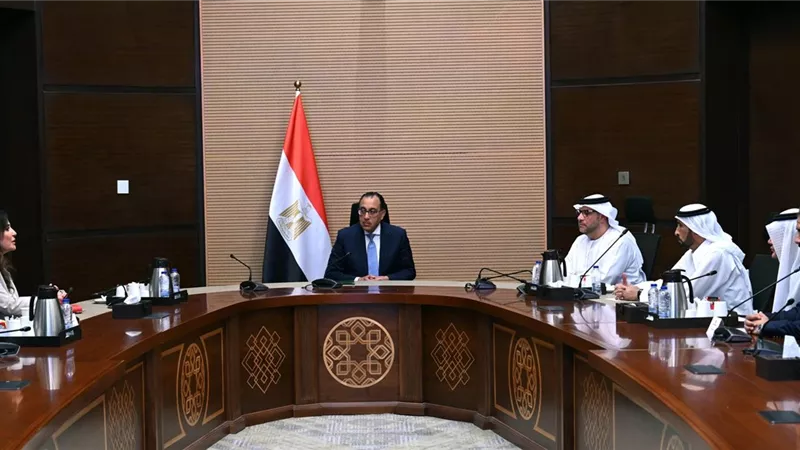 مدبولي يبحث مع مسؤولين إماراتيين خطط التوسع المستقبلية في النفط والغاز