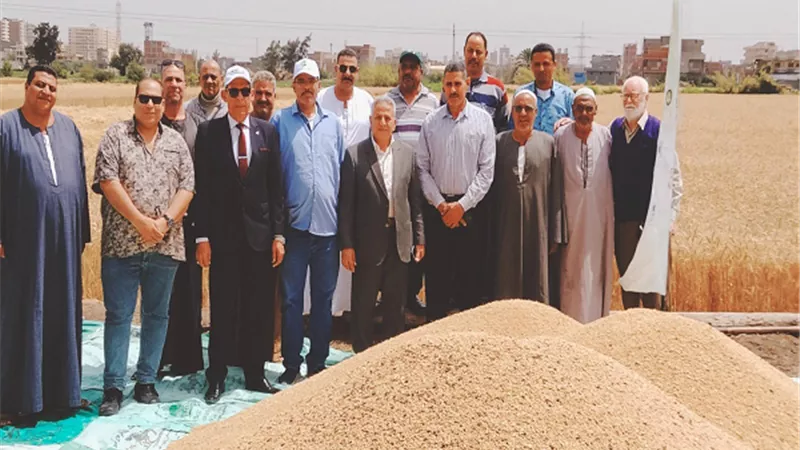 ضمن مبادرة ازرع .. الزراعة تنفذ يوم لحصاد القمح بدمنهور