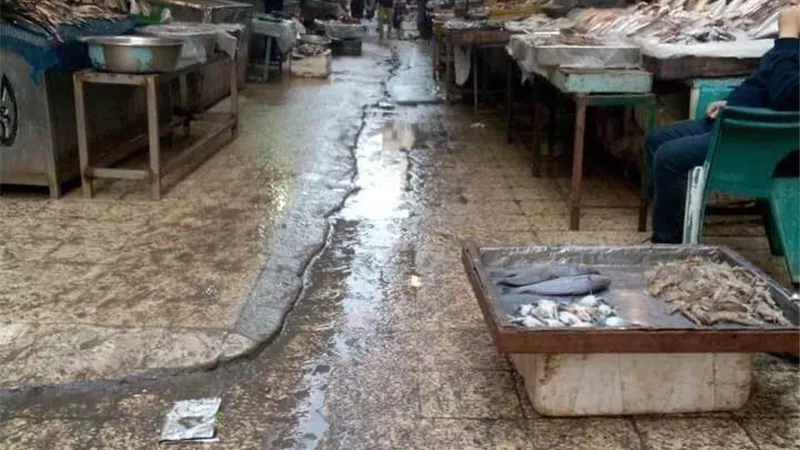 نجاح الحملة الشعبية بالاسكندرية لمقاطعة الأسماك