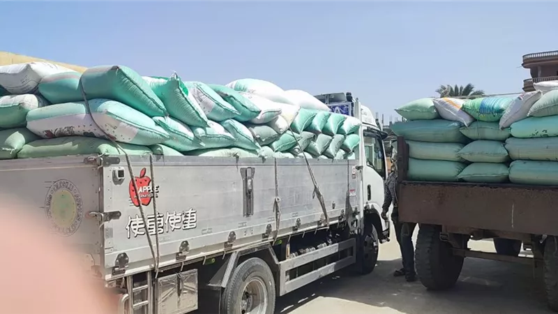 توريد أكثر من ١٥األف طن قمح بكفرالشيخ