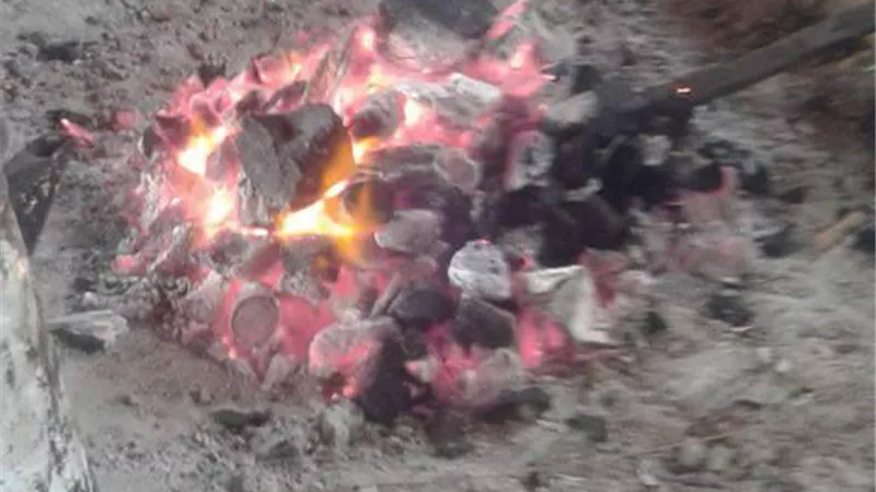 البشعه إحدى الأحكام العرفية البدويه فما حكماء فى الإسلام