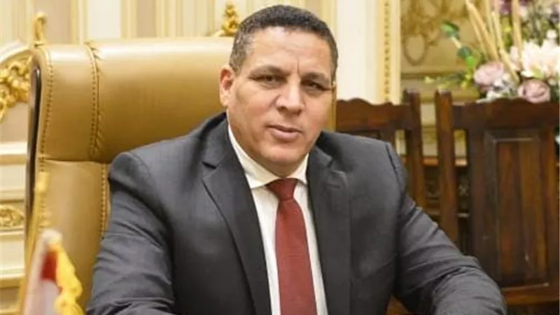 برلماني: زيادة مخصصات الصحة والتعليم بالموازنة الجديدة أولويات العمل الوطني