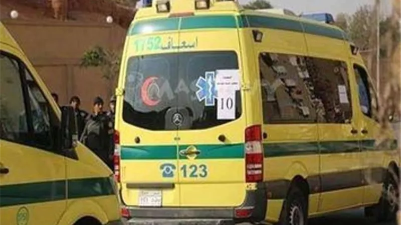 إصابة أمين شرطة بحادث سير في الدقهلية