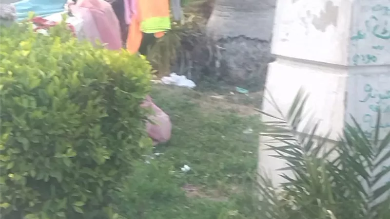حملات للقضاء علي النباشين بحدائق المنشية
