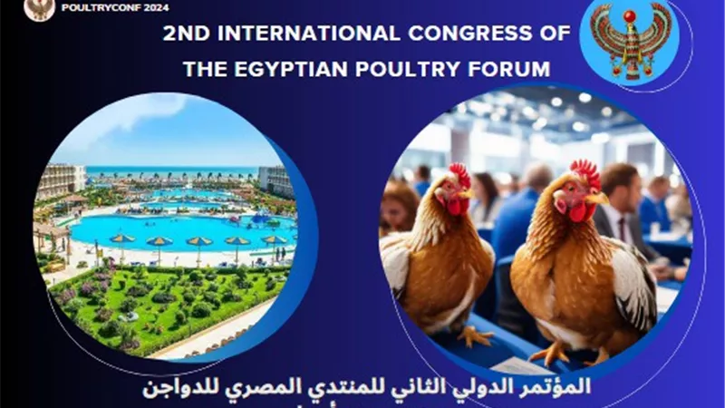 إنطلاق المؤتمر الدائم الثانى لدعم صناعة الدواجن بالغردقة