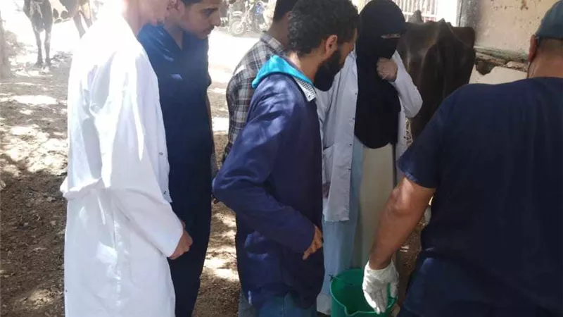 قافلة بيطرية مجانية بوحدة مغاغة