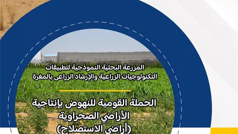 البحث العلمي تُعلن بدء قبول مُقترحات بحثية للنهوض بإنتاجية الأراضي الصحراوية