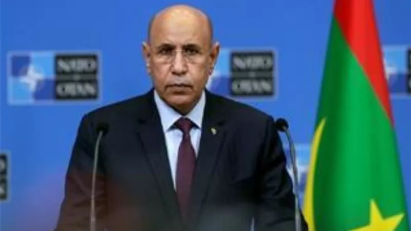 الرئيس الموريتاني يلتقي وفدا اقتصاديا أوروبيا