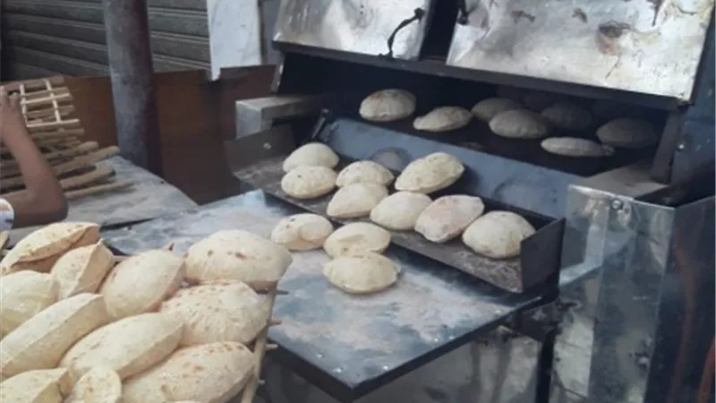 113 محضرا متنوع على المخابز البلدية والسياحية بالقليوبية