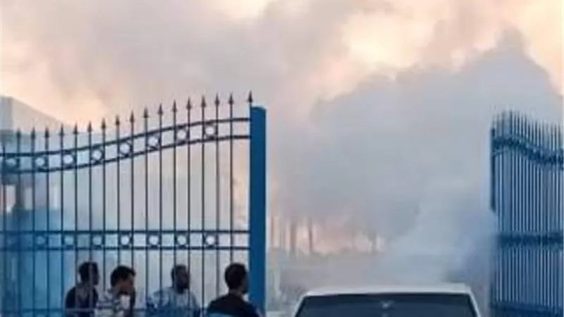 انطلاق حملات مكثفة لمجابهة انتشار الحشرات الطائرة بالشرقية