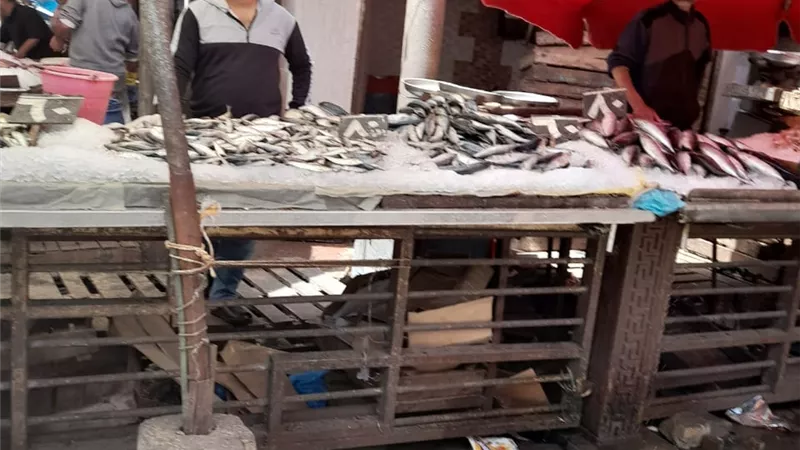 محلات أسماك دمياط تغلق أبوابها ومطالبات بمقاطعة اللحوم والدواجن