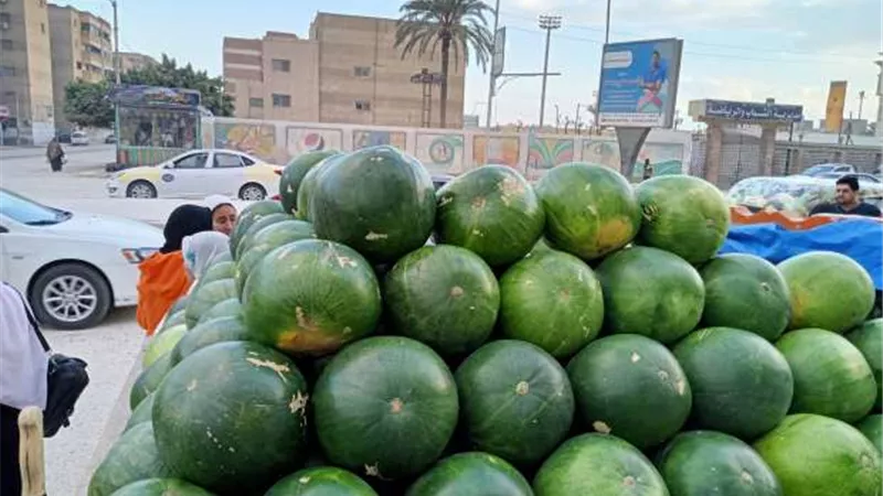 الحكومة تنفي ما تردد عن انتشار بطيخ مسرطن في الأسواق