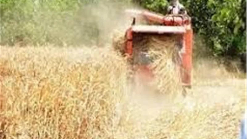 رئيس مدينة شبراخيت تفقد شون حمدى لتوريد القمح