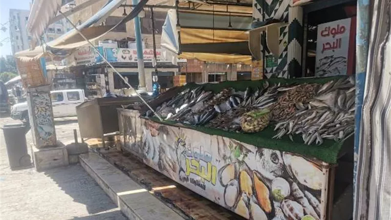 أهالى مطروح تنتصر بحملة مقاطعة الاسماك بمطروح