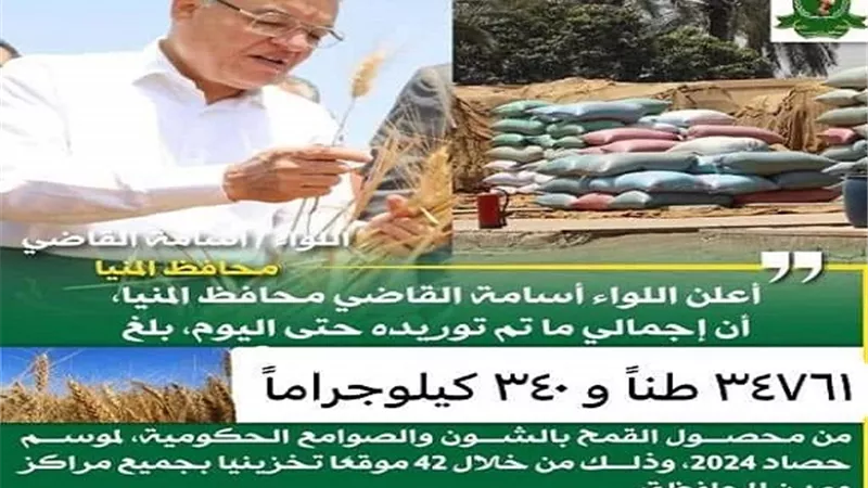 توريد ٣٥ ألف طن قمح بالشون والصوامع الحكومية بالمنيا