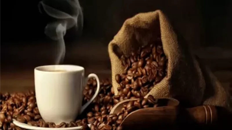 رئيس شعبة البن: نستورد أفضل الأنواع وسعر الكيلو حاليًا 400 جنيه
