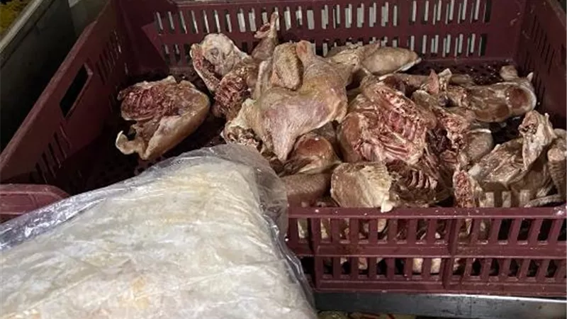 طب بيطرى مدينة الشروق يضبط نصف طن لحوم فاسدة فى محلات شهيرة..صور